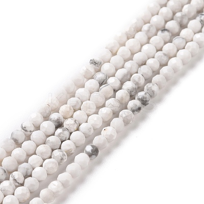 Natural Howlite Beads Strands G-H273-02A-1