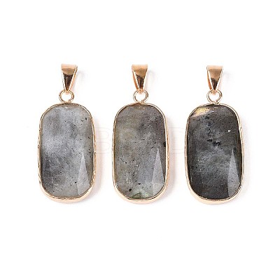 Natural Labradorite Pendants G-N349-03C-G-1
