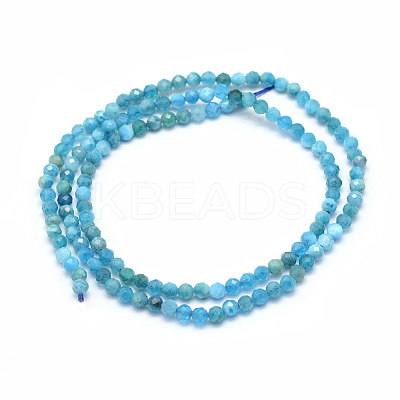 Natural Apatite Beads Strands LS-G-E411-36-2mm-01-1