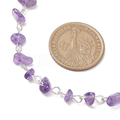 Natural Amethyst Chip Beaded Necklaces NJEW-JN05140-02-1
