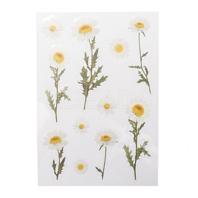 Flower Pattern Waterproof Self Adhesive Hot Stamping Stickers DIY-I063-03-1