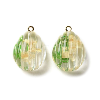 Inner Dried Flower Transparent Resin Pendants LS-RESI-A043-06A-1