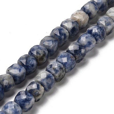 Natural Blue Spot Jasper Beads Strands G-H078-C20-01-1