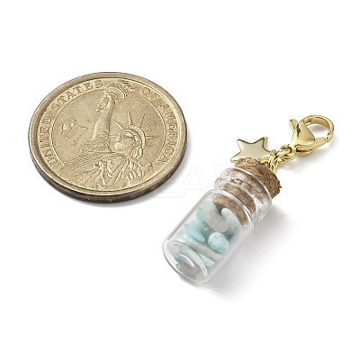 Natural Amazonite Chip inside Glass Wishing Bottle Pendant Decoration HJEW-JM03130-01-1