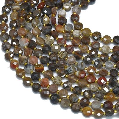 Natural Petrified Wood Beads Strands G-K389-B33-01-1