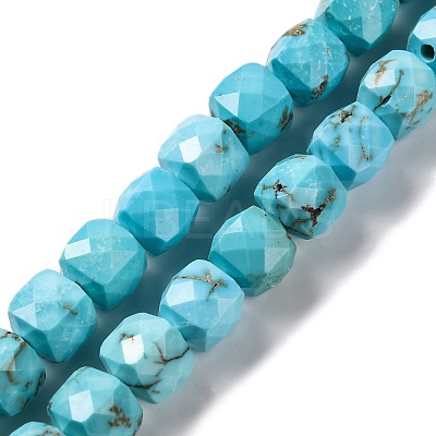 Natural Howlite Beads Strands G-G001-B02-05-1