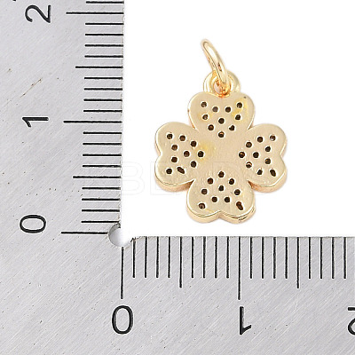 Rack Plating Brass Micro Pave Clear Cubic Zirconia Charms LS-KK-Z060-13G-1