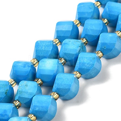 Dyed Natural Howlite Beads Strands G-G023-B01-01A-1
