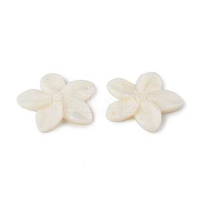 Freshwater Shell Pendants SHEL-T009-23-1