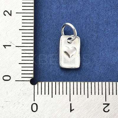 Sterling Silver Charms STER-E070-03D-1