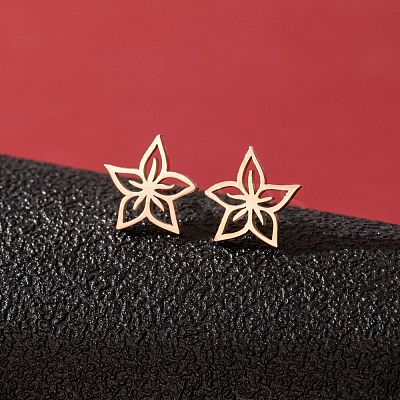 Stainless Steel Stud Earrings for Women PW-WGFE412-29-1