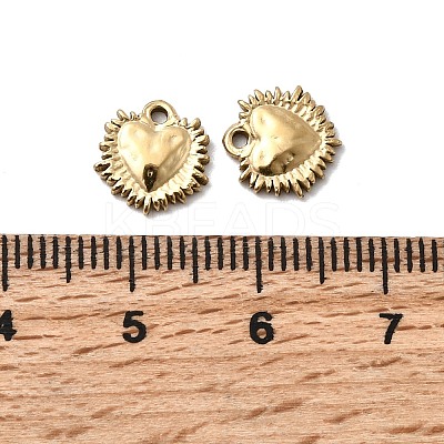 304 Stainless Steel Charms X-STAS-A127-02G-1
