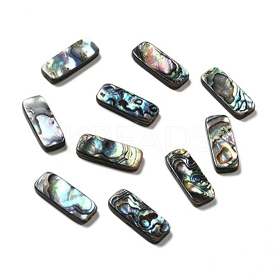 Natural Paua Shell Beads SHEL-G014-07A-1