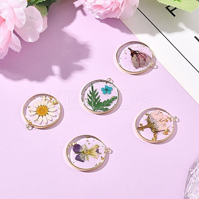 5Pcs 5 Styles Transparent Clear Epoxy Resin Pendants RESI-YW0004-21-1