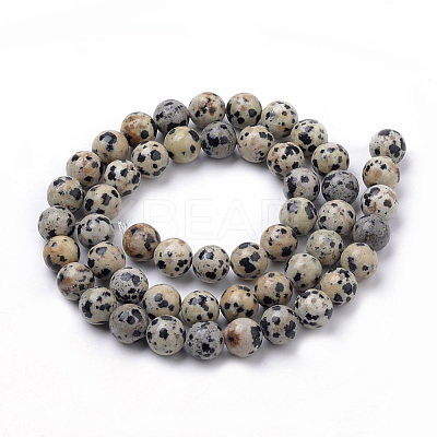 Natural Dalmatian Jasper Beads Strands X-G-S259-24-6mm-1