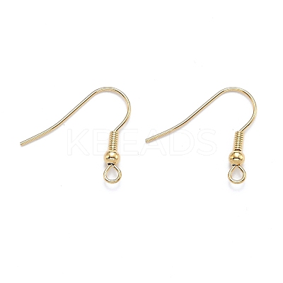 304 Stainless Steel Earring Hooks STAS-D448-036G-1