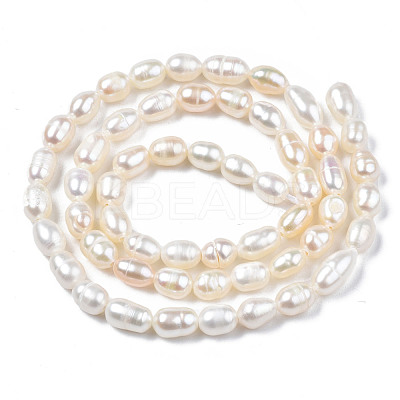 Natural Cultured Freshwater Pearl Beads Strands PEAR-N012-04B-1