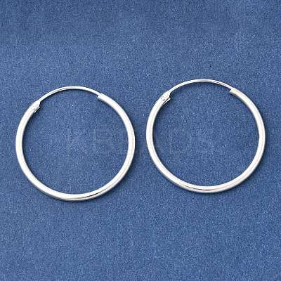 Brass Hoop Earrings EJEW-G474-01S-04-1