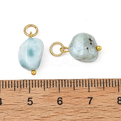 Natural Larimar Pendants PALLOY-JF05952-1