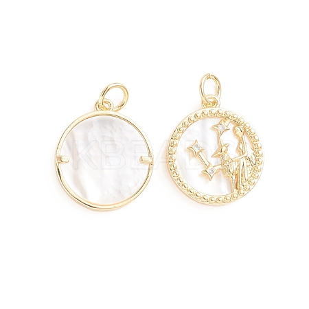 Brass Micro Pave Cubic Zirconia Pendants ZIRC-E164-36H-G-1