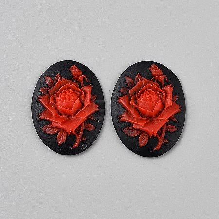 Resin Cabochons CRES-WH0018-02D-1