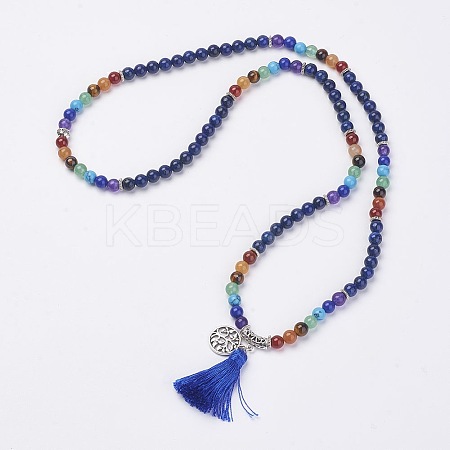 Natural Gemstone Beads Necklaces LS-NJEW-F147-B01-1