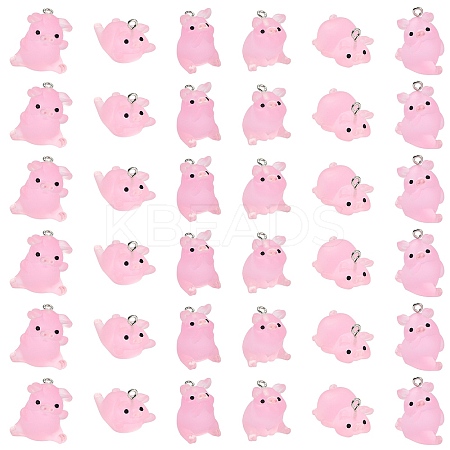 36Pcs 6 Styles Luminous Translucent Resin Pendants RESI-SZ0003-30-1