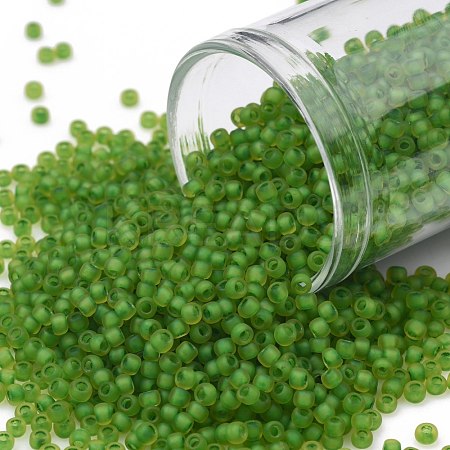 TOHO Round Seed Beads SEED-JPTR11-0306FM-1