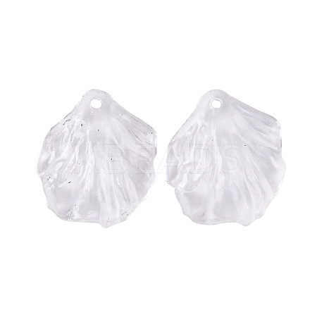 Transparent Acrylic Pendants TACR-G050-03B-1