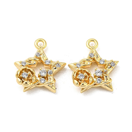 Brass Micro Pave Clear Cubic Zirconia Charms KK-H460-18G-1