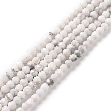 Natural Howlite Beads Strands G-H273-02A-1