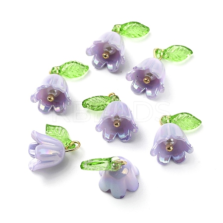 Opaque Resin Pendants CRES-CJC0009-05G-05-1
