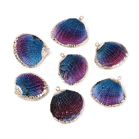 Spray Paint & Electroplate Natural Sea Shell Pendants SSHEL-N042-16A-1