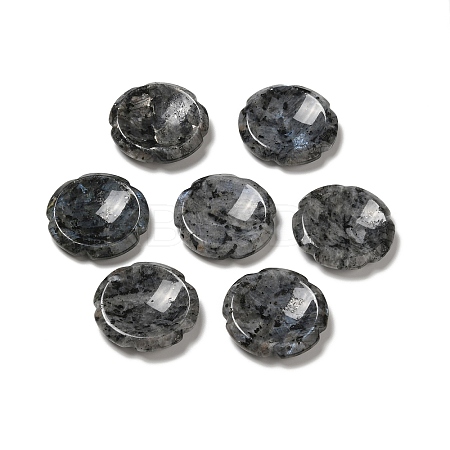 Natural Larvikite Worry Stones G-E586-01I-1