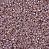 MIYUKI Round Rocailles Beads SEED-X0054-RR0579-3