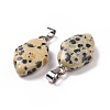 Natural Dalmatian Jasper Pendants G-B041-03P-08-3