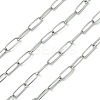 Handmade 304 Stainless Steel Paperclip Chains STAS-F230-15P-1