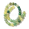 Natural Agate Beads Strands G-NH0001-G11-01-3