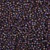 TOHO Round Seed Beads X-SEED-TR08-0166BF-2