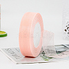 Polyester Organza Ribbon FABR-PW0001-003A-04-1