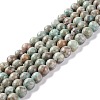 Natural Maifanite/Maifan Stone Beads Strands G-P451-01B-D-1