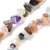 Natural & Synthetic Gemstone Chip Bead Strands G-M205-21-2