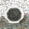 Spray Painted Glass Seed Beads SEED-T007-08A-1