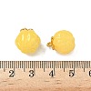 Glass Charms GLAA-P072-04G-09-3