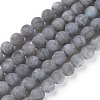 Natural Labradorite Beads Strands G-I218-02-1