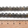 Natural Labradorite Beads Strands X-G-S333-6mm-035-01-4