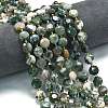 Natural Tree Agate Beads Strands G-C116-A150-01-1