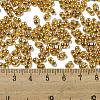 Glass Seed Beads SEED-K009-10B-02-4