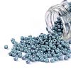 TOHO 11/0 Round Beads X-SEED-TR11-1206-1