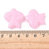 Baking Paint Glass Beads LAMP-D303-05C-3